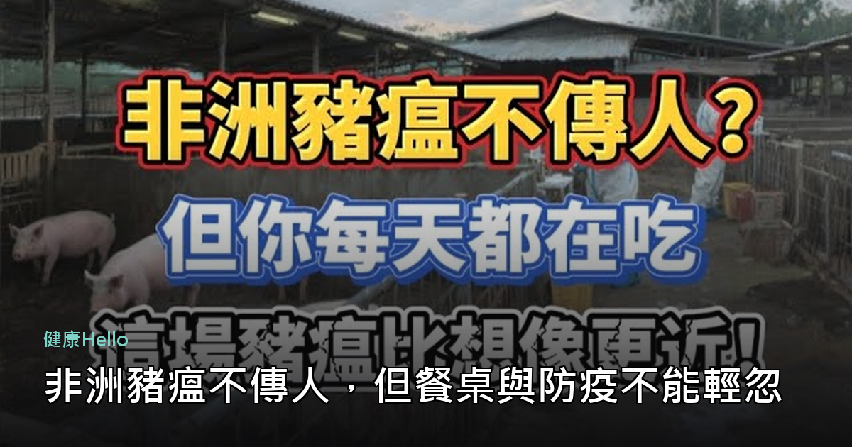 非洲豬瘟不傳人，但餐桌與防疫不能輕忽